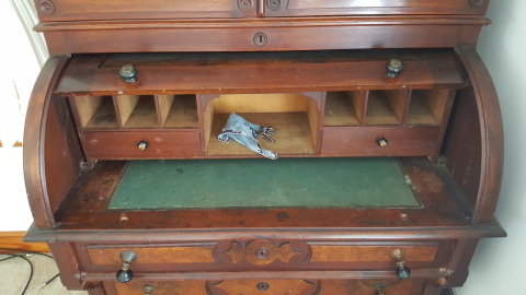 Secretary, Before