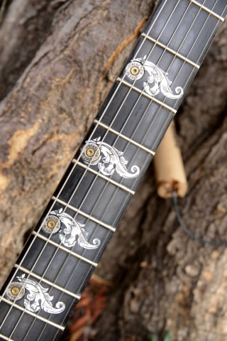 Desperado Fretboard Detail