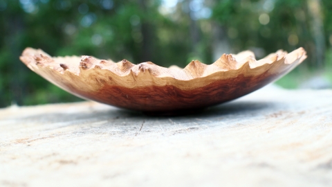 Red Mallee Burl
