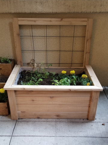 Cedar Planter With Plants