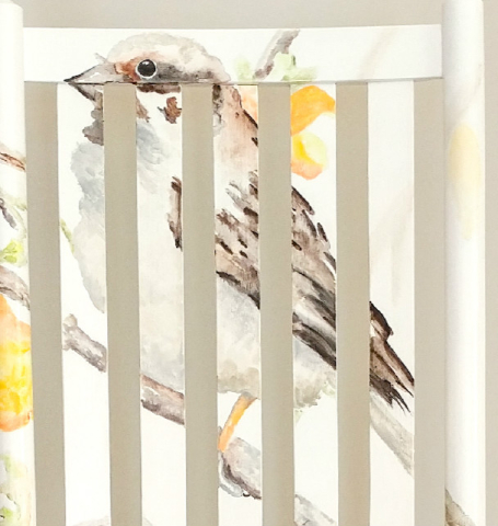 Very close up detail of sparrow